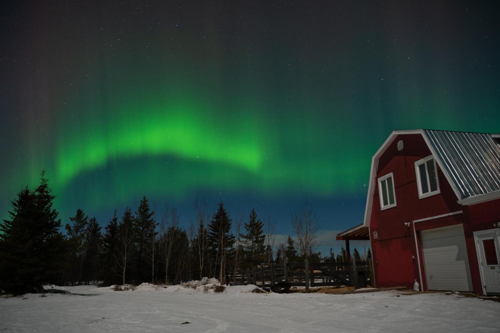 The Big Red Barn Lägenhet Whitehorse Exteriör bild
